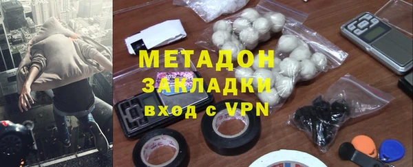 индика Алзамай