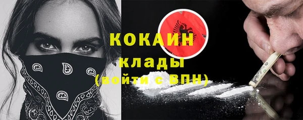 индика Алзамай