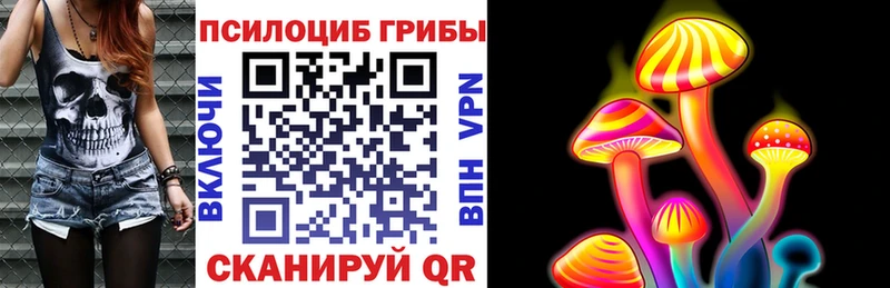 Псилоцибиновые грибы ЛСД  OMG зеркало  Бахчисарай  наркотики 