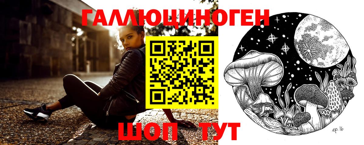 Галлюциногенные грибы Psilocybe  что такое   Бахчисарай  Вход с VPN 